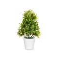 Miniatyrbillede 2 af 3: Dekorativ plante Ibergarden 547 Plastik 18 x 35 x 16 cm (6 enheder)