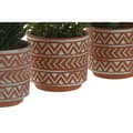 Miniatyrbillede 3 af 3: Dekorativ plante Home ESPRIT Polyetylen Cement 12 x 12 x 17 cm (3 enheder)