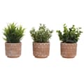Miniatyrbillede 1 af 3: Dekorativ plante Home ESPRIT Polyetylen Cement 12 x 12 x 17 cm (3 enheder)