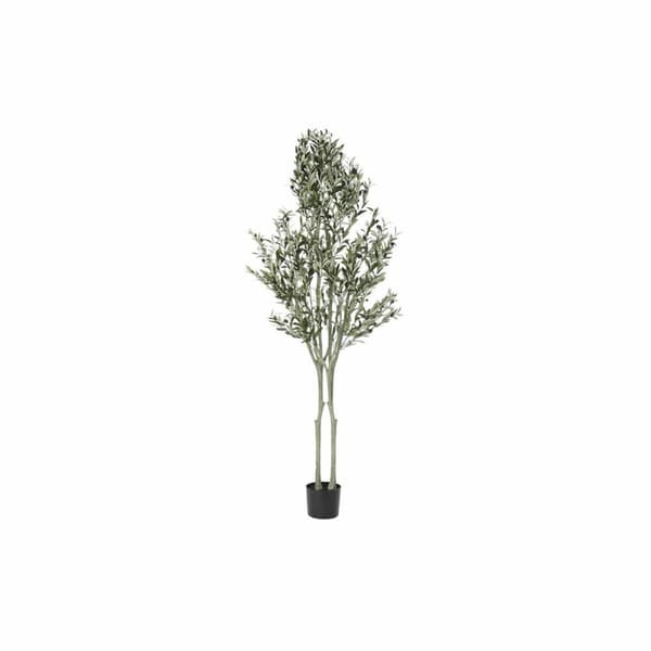 Träd DKD Home Decor Polyester polypropen Olivträd 80 x 80 x 180 cm (80 x 80 x 180 cm)