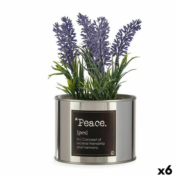 Dekorativ växt Ibergarden Metall Plast Can Lavendel 10 x 18 x 10 cm (6 antal)