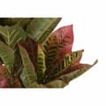 Miniatyrbillede 2 af 4: Dekorativ plante DKD Home Decor Brun Polyetylen Grøn 50 x 50 x 140 cm