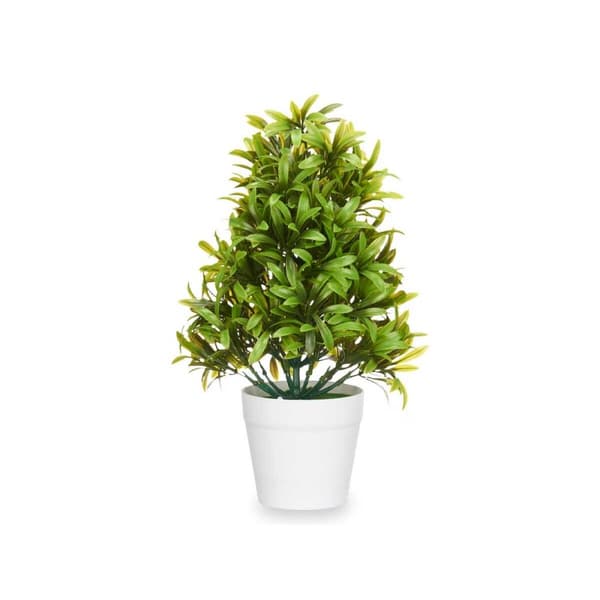 Dekorativ växt Ibergarden 547 Plast 18 x 35 x 16 cm (6 antal)
