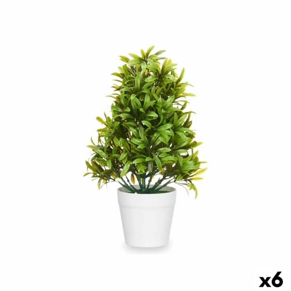 Dekorativ växt Ibergarden 547 Plast 18 x 35 x 16 cm (6 antal)