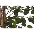 Pikkukuva 2 / 3: Puut Home ESPRIT Polyetyleeni Fiikus 100 x 100 x 210 cm