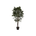Pikkukuva 1 / 3: Puut Home ESPRIT Polyetyleeni Fiikus 100 x 100 x 210 cm