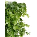 Miniatyrbillede 2 af 2: Lodret have Ibergarden Grøn Plastik Ark 50 x 50 cm