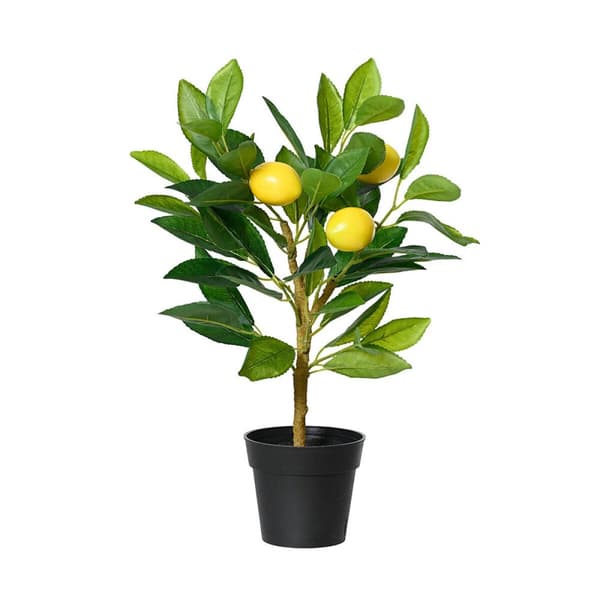 Dekorativ växt Everlands Plast Citronträd 17 x 24 x 43 cm