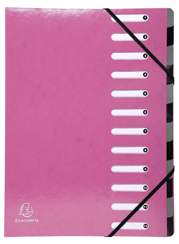 Sorteringsmapp EXACOMPTA 12-flik rosa