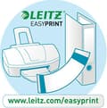 Pikkukuva 2 / 3: LEITZ-inserttiarkki (L) 323 x (K) 224 mm, säämiskä kraft-pahvi, 260 gsm, rei'itys: 80 mm, ulkoneva kieleke (2178-00-11)