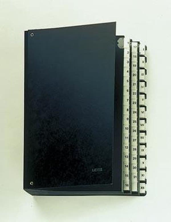 Leitz - Skrivebordsmappe - Pap - 31 skillevægge