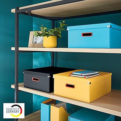 Leitz Click & Store Stor opbevaringsboks, foldbar A3 arkivboks med låg, robust premium papspand til arkivering af dokumenter, Hjem/kontor, Hyggelig se
