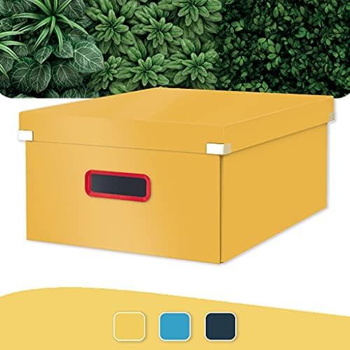 Leitz Click & Store Stor opbevaringsboks, foldbar A3 arkivboks med låg, robust premium papspand til arkivering af dokumenter, Hjem/kontor, Hyggelig se