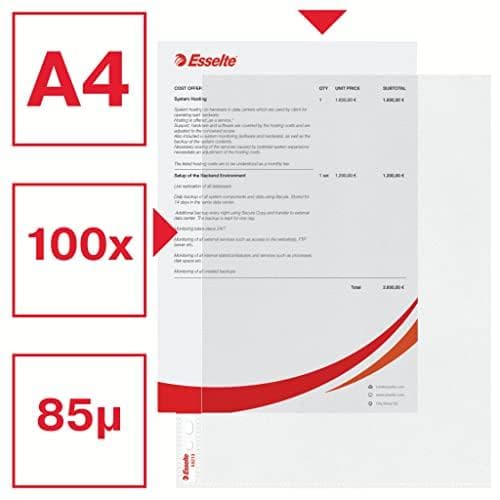 Esselte brochurehylster Standard Plus, DIN A4, PP, 0,09 mm kornet, farveløs, åben øverst og venstre, permanent (55213)