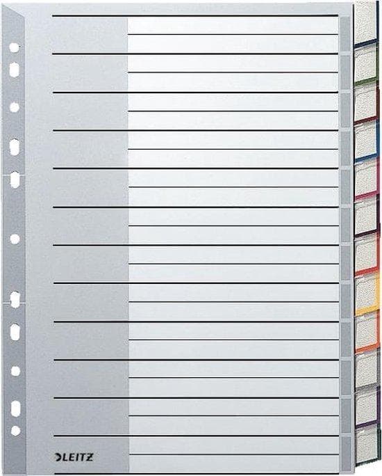 Leitz Index Blank - Muovi - Harmaa - Valkoinen - Pahvi - Tyhjä - A4 (1274-00-00)