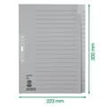 Pikkukuva 6 / 6: LEITZ köysipaperirekisteri, aihio, A4, 20 osaa, harmaa 100 gsm, rei'itys: 80 mm, rei'itysvahvike (6096-00-85)