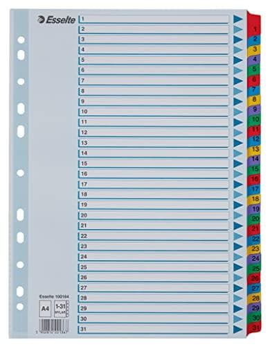 Esselte-rekisteri A4, kansilehti ja 31 jakajaa, kielekkeet painettu numeroilla 1-31, rei'itetyt reunat ja kielekkeet kalvovahvistettu (Mylar), sininen