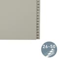 Pikkukuva 2 / 3: LEITZ köysipaperirekisteri, numerot, A4 lisäleveys, 26-50 harmaa, 25 osaa, puolikorkeus, 100 gsm, lävistys: 80 mm, kanssa (1382-00-85)