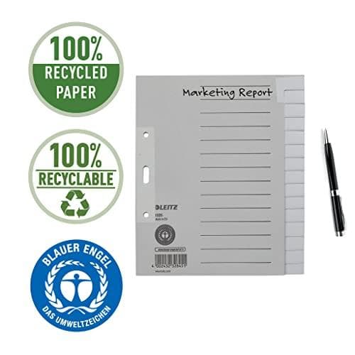 Esselte Leitz Paper Index Tyhjä A5 Paperi 15 Arkkia Harmaa