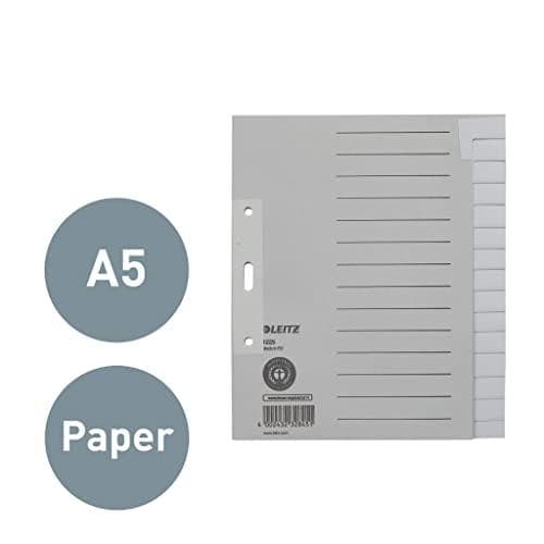 Esselte Leitz Paper Index Tyhjä A5 Paperi 15 Arkkia Harmaa