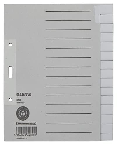 Esselte Leitz Paper Index Tyhjä A5 Paperi 15 Arkkia Harmaa