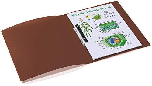 HERMA 19169 ringbind DIN A4 gennemskinnelig brun, smal, 2 ringe, robust plastik, 25 mm bred, gennemsigtig ringbind til skole og kontor, ringbindsmappe