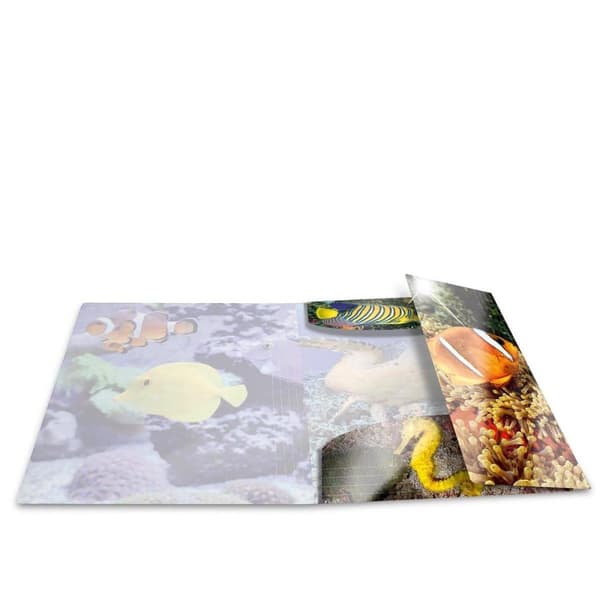 HERMA 19324 folder Polypropylen (PP) Multifarver A4