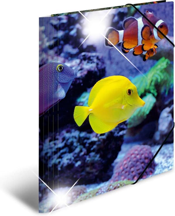 HERMA 19324 folder Polypropylen (PP) Multifarver A4