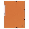 Miniatyrbillede 1 af 2: Folder Exacompta Orange A4 10 Dele