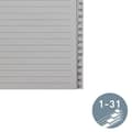 Pikkukuva 3 / 11: LEITZ köysipaperirekisteri, numerot, A4 lisäleveys, 1-31, harmaa 31-osainen, 100 g/m², lävistys: 80 mm, reikävahvike (1231-00-85)