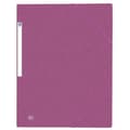 Miniatyrbillede 3 af 6: Folder Oxford Multifarvet A4 10 Dele