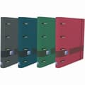Pikkukuva 2 / 2: Rengaskansio Oxford EuropeanBinder A4+ (10 osaa)