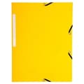 Miniatyrbild 1 av 5: Marmorerade kortmappar - EXACOMPTA - Set med 7+3 - Diverse - Gul - 21 x 29,7 (A4)
