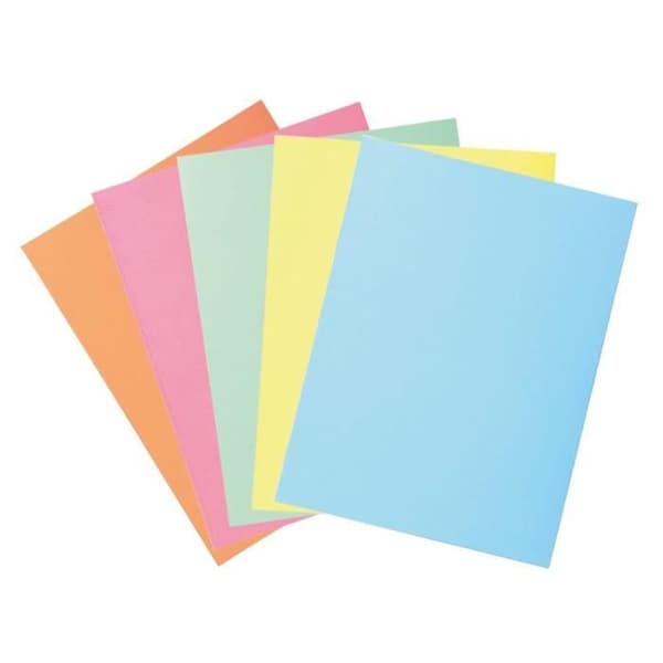 Arkivmapp - Exacompta - 240 x 320 mm - 250 g/m² kort - 2 flikar - Pastell