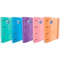 Pikkukuva 2 / 8: Rengaskansio Oxford EUROPEANBINDER Monivärinen A4+ (10 osaa)
