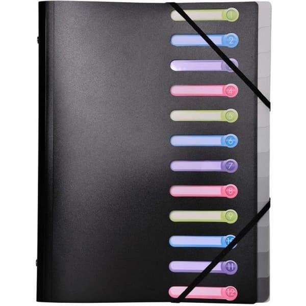 EXACOMPTA Folder 24x32cm Polypropen 12 Fack Svart
