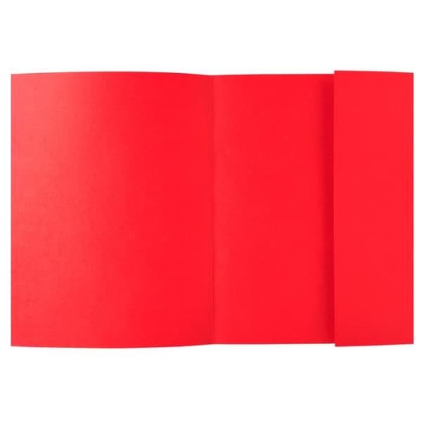 Paket med 50 Bahia 220 mappar 1 matchande flik