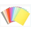 Miniatyrbild 3 av 3: Undermapp Exacompta Forever Multicolour A4 100 Delar (5 antal)