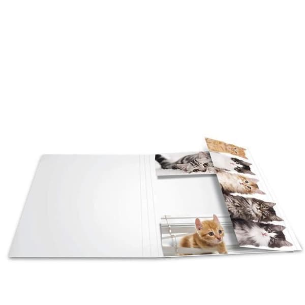 Kartongmapp med flikar och resårer Format A3 CAT