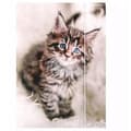 Miniatyrbild 3 av 4: Dossier suspenderat - underdossier Starpak DOSSIER MED GUMMIBAND PAPPER A4 KATTER STK FOL10/100