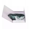 Miniatyrbild 4 av 4: Dossier suspenderat - underdossier Starpak DOSSIER MED GUMMIBAND PAPPER A4 KATTER STK FOL10/100