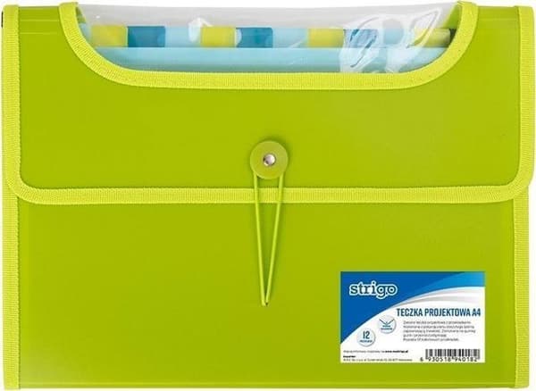 Möbelklassare - hängmappsmöbel - Strigo hyllsystem - 329063 - PP mapp A4 med 12 avdelare grön