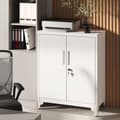 Miniatyrbild 2 av 4: Rootz File Cabinet - Multi -Purpose skåp - Kontorskåp - Stålkonstruktion - 40 x 80 x 90 cm - Säker & hållbar - Matt Grey Finish