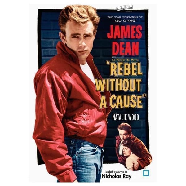 DVD Livets raseri