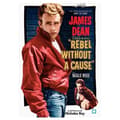 Miniatyrbild 3 av 5: DVD Livets raseri