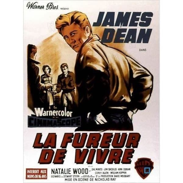 DVD Livets raseri