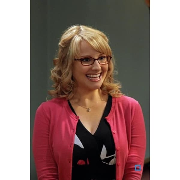 DVD The Big Bang Theory - Säsong 2