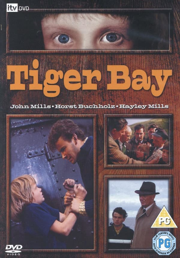 Farligt ögonvittne (Ej svensk text) (DVD)