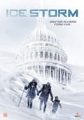 Miniatyrbillede 1 af 2: Ice storm (DVD)