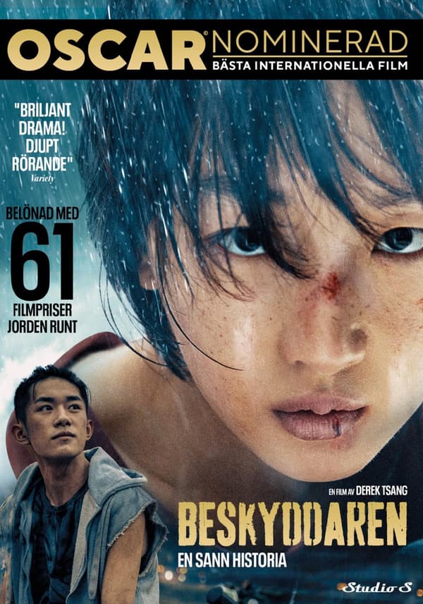 Beskyddaren (DVD)